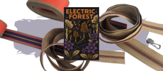 "Electric Forest"